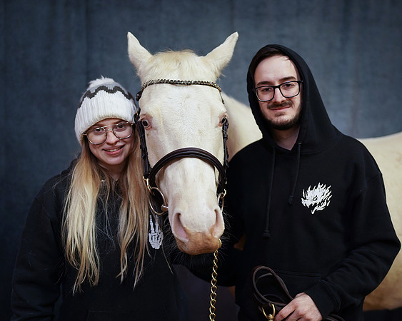 horses-8