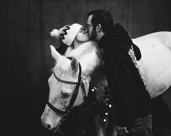 horses-11
