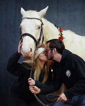 horses-10