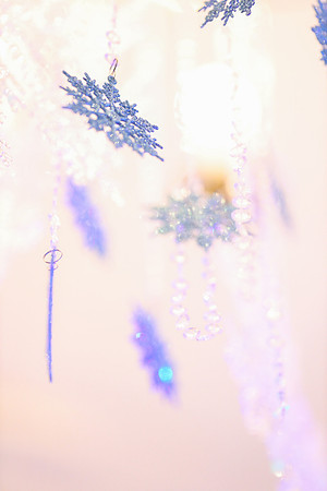 untitled23-01-20--441