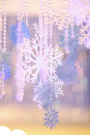 untitled23-01-20--446