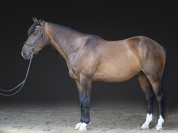 KAY18168-Edit