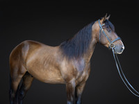 KAY18212-Edit