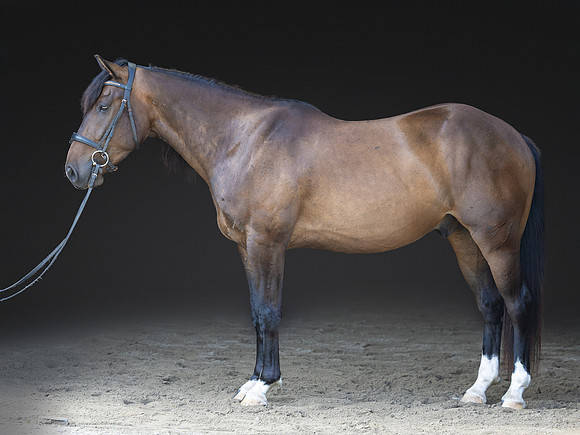 KAY18186-Edit
