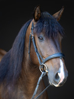 KAY18215-Edit