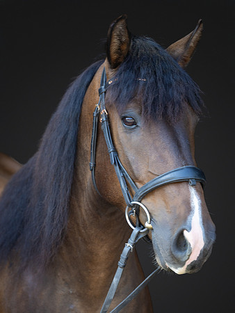 KAY18215-Edit