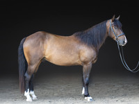 KAY18234-Edit