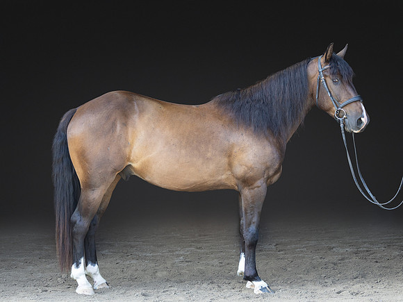 KAY18234-Edit