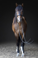 KAY18228-Edit