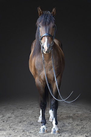 KAY18228-Edit