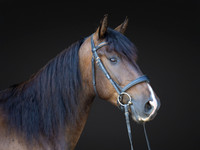 KAY18246-Edit