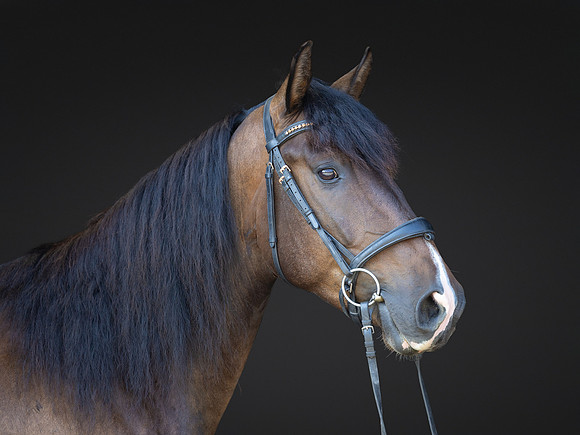 KAY18246-Edit