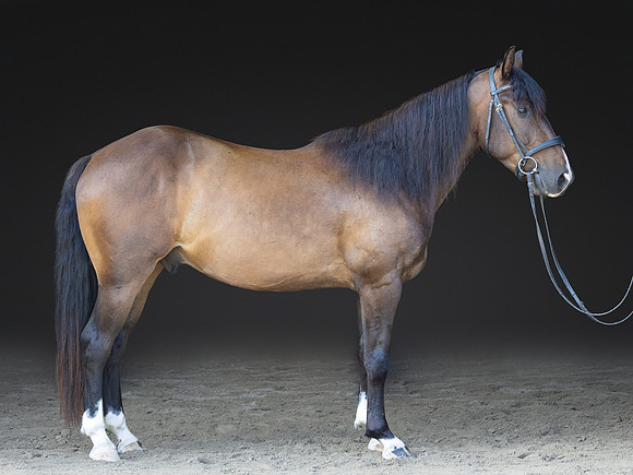 KAY18240-Edit