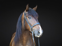 KAY18255-Edit