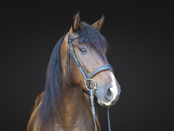 KAY18255-Edit