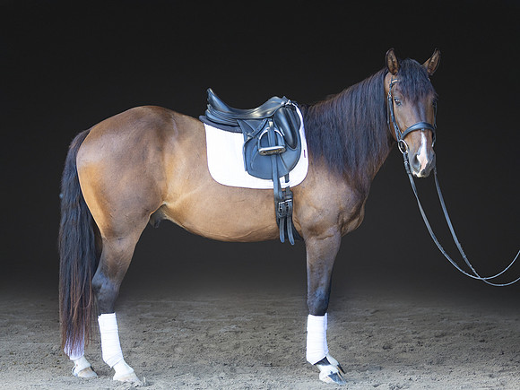 KAY18263-Edit