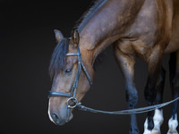 KAY18253-Edit