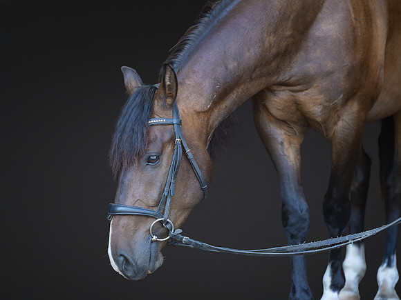 KAY18253-Edit