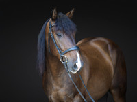 KAY18250-Edit