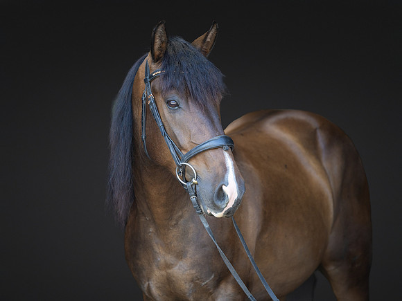 KAY18250-Edit