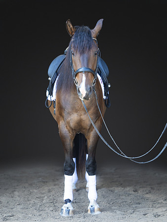 KAY18284-Edit