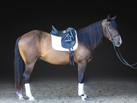 KAY18270-Edit