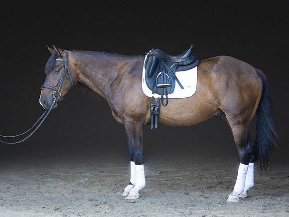 KAY18291-Edit