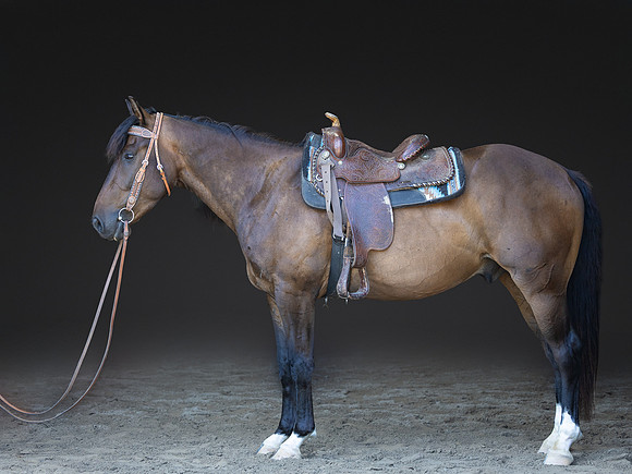 KAY18668-Edit