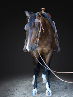 KAY18644-Edit
