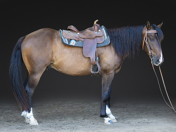 KAY18609-Edit