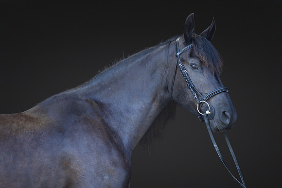 KAY13037-Edit