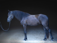 KAY12980-Edit