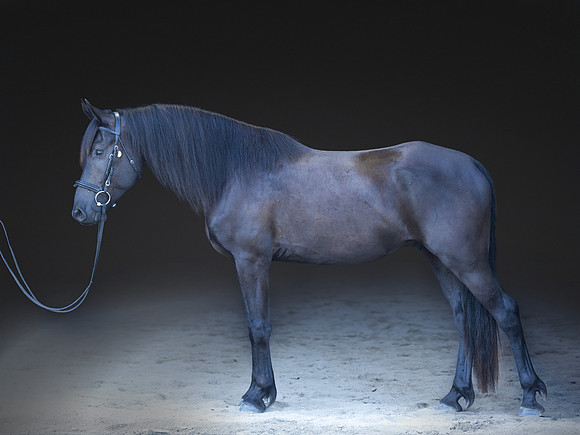 KAY12980-Edit