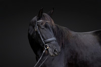 KAY16571-Edit