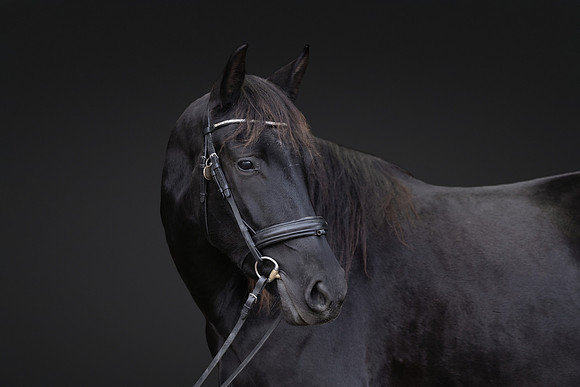 KAY16571-Edit