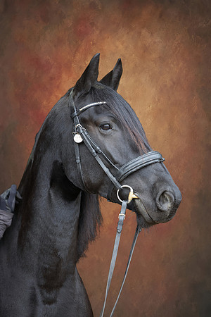 KAY17150-Edit