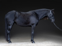 KAY16556-Edit