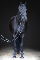KAY17136-Edit