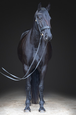 KAY17136-Edit