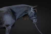 KAY16554-Edit