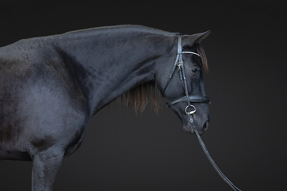 KAY16554-Edit