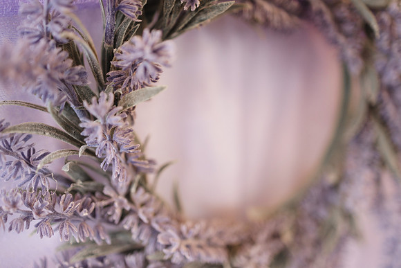 kaywarnerphoto-11