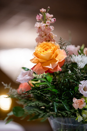 DSCF4648
