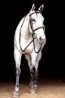24 BR1A4256-Edit