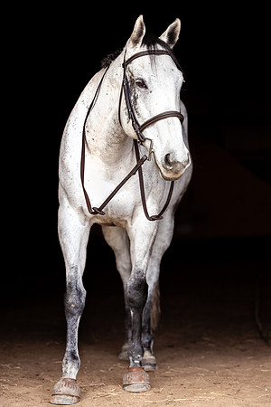 24 BR1A4256-Edit