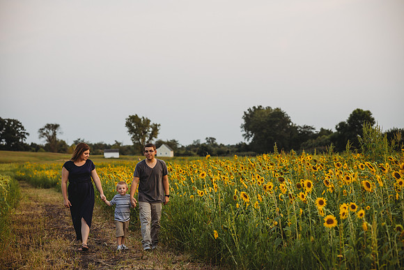 D-2781