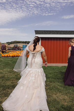 BR1A9427
