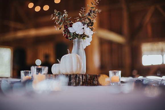 WLS_4549
