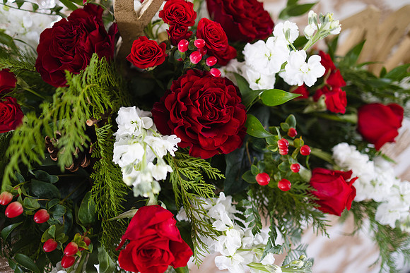 kaywarnerphoto-0106