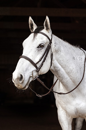 22 BR1A4246-Edit